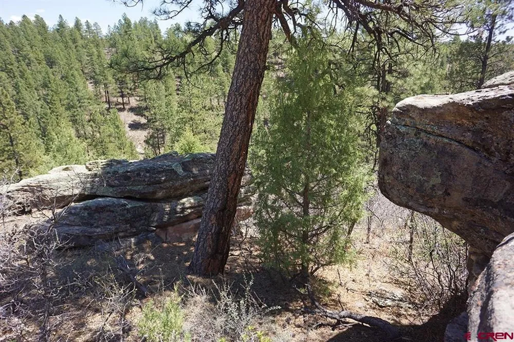 11 Road 37.1 Mancos, CO 81328