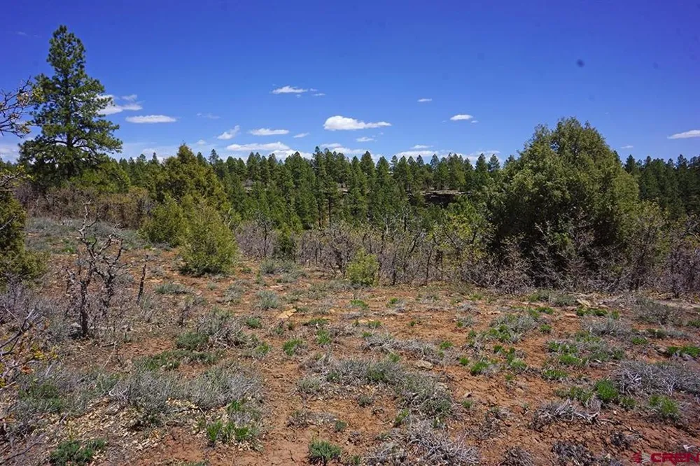 11 Road 37.1 Mancos, CO 81328