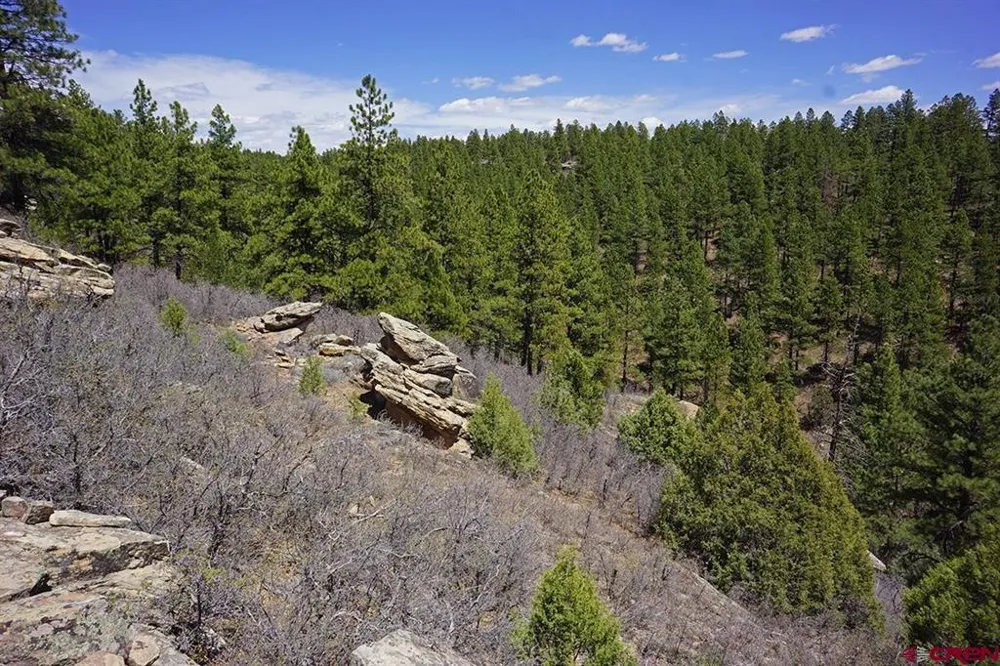11 Road 37.1 Mancos, CO 81328