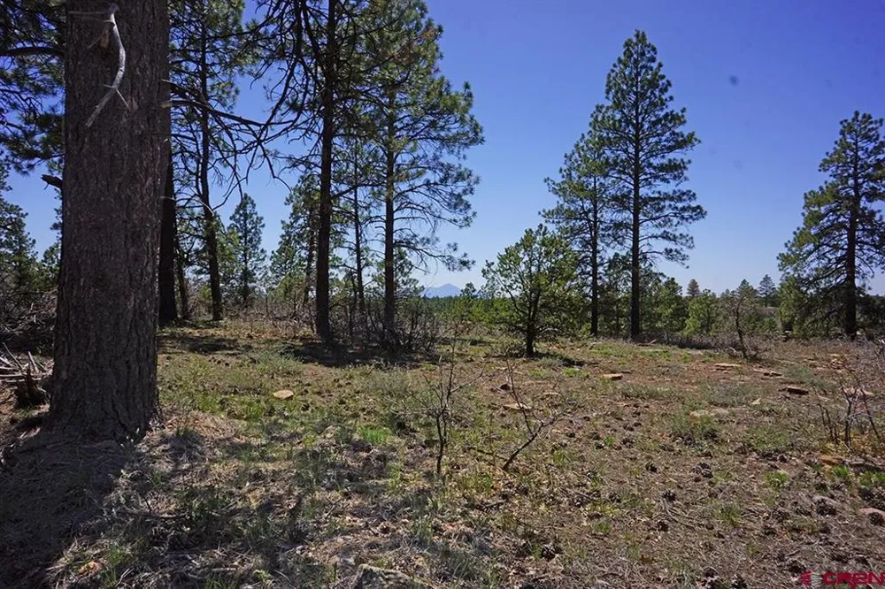 11 Road 37.1 Mancos, CO 81328