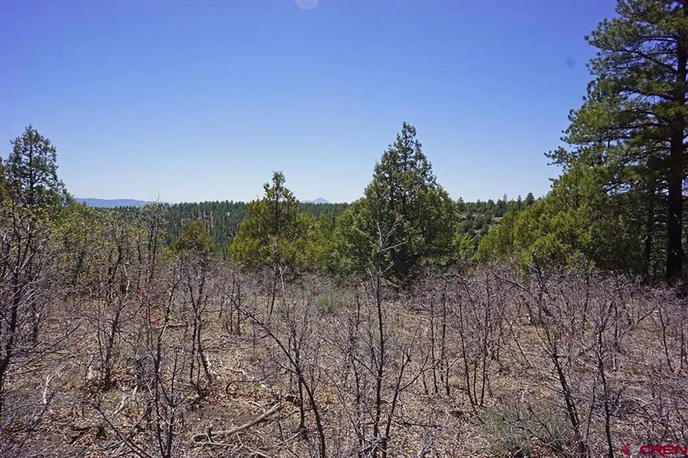 6 Road T.7 Mancos, CO 81328