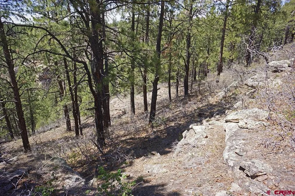 6 Road T.7 Mancos, CO 81328