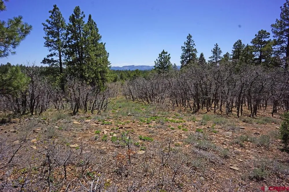 6 Road T.7 Mancos, CO 81328