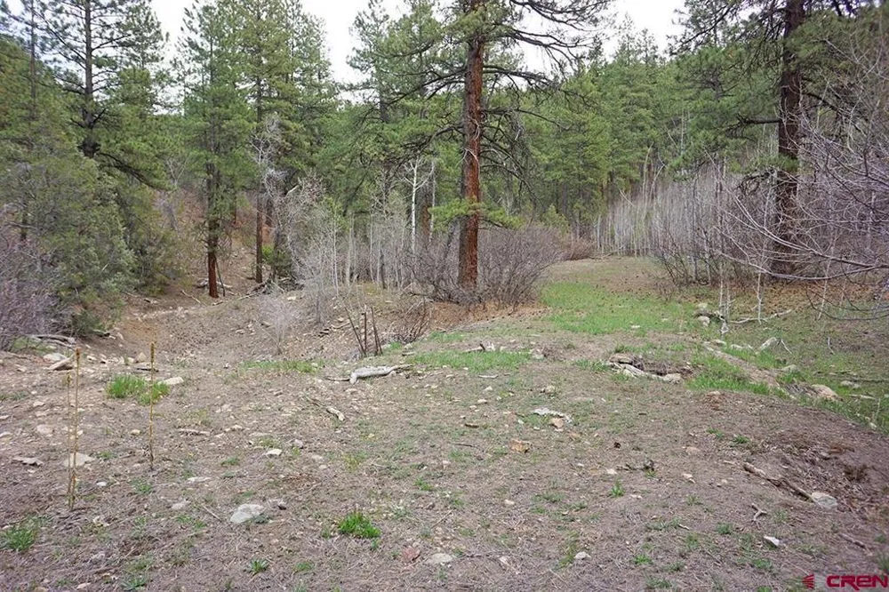 6 Road T.7 Mancos, CO 81328