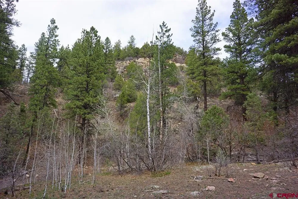 6 Road T.7 Mancos, CO 81328