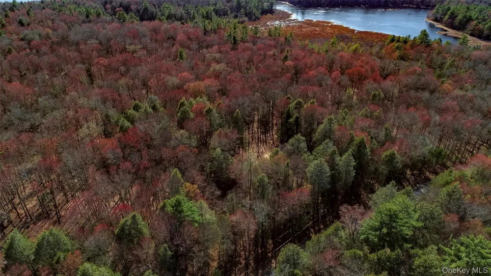 Lot 2 Deer Meadow Road Bethel, NY 12720