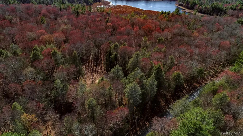 Lot 2 Deer Meadow Road Bethel, NY 12720