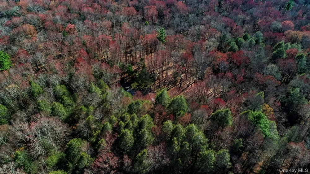 Lot 2 Deer Meadow Road Bethel, NY 12720