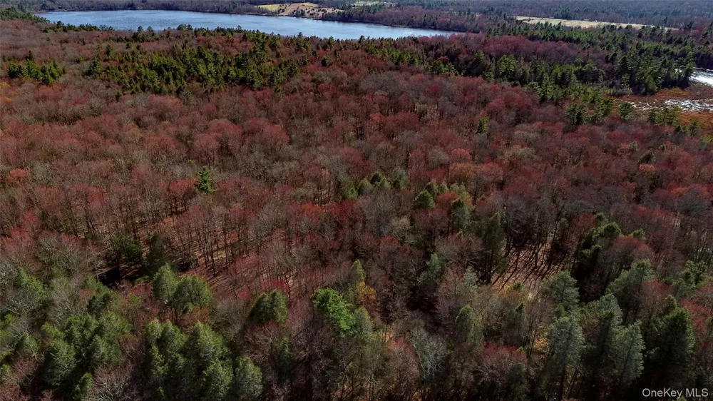 Lot 2 Deer Meadow Road Bethel, NY 12720