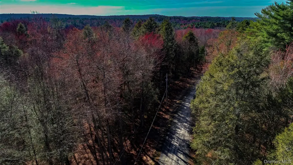 Lot 2 Deer Meadow Road Bethel, NY 12720