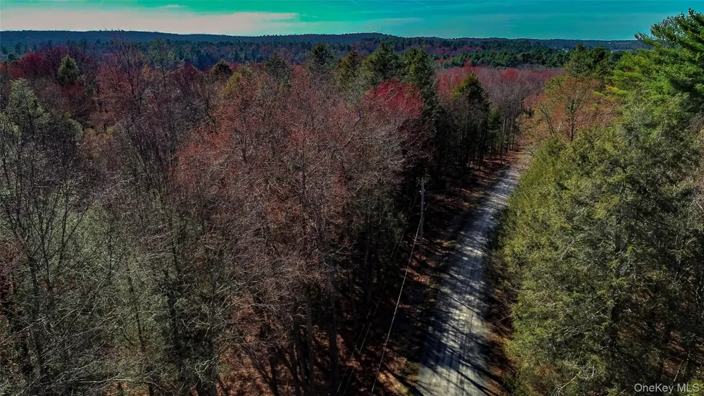 Lot 2 Deer Meadow Road Bethel, NY 12720
