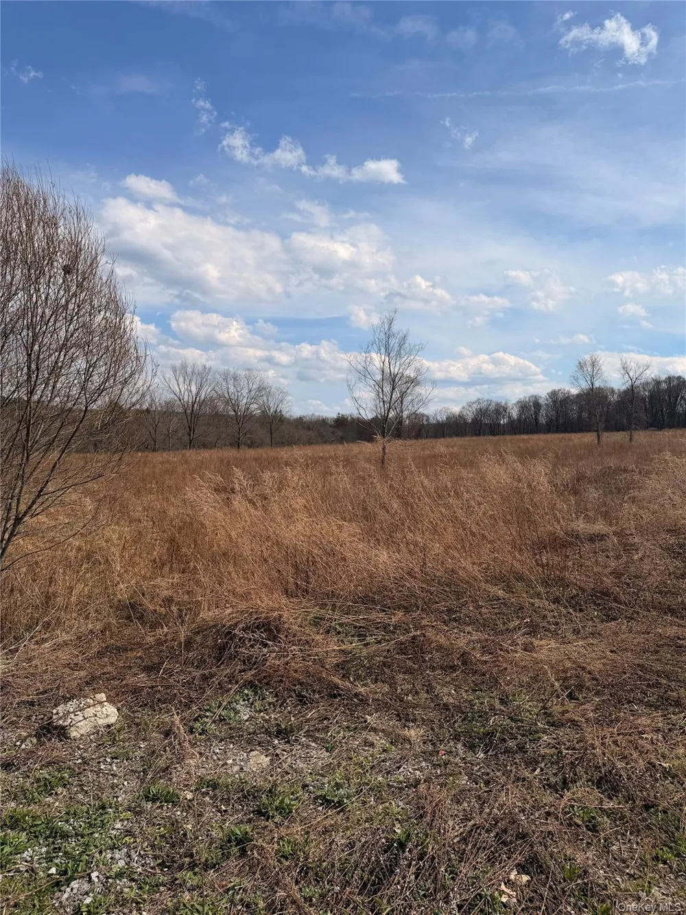 0 Route 55 Lagrangeville, NY 12540