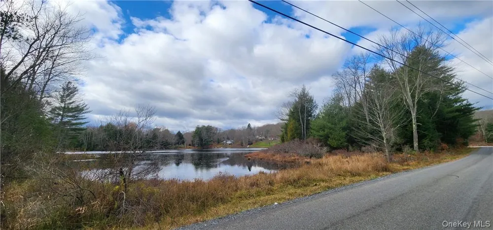 Mongaup Road Monticello, NY 12701