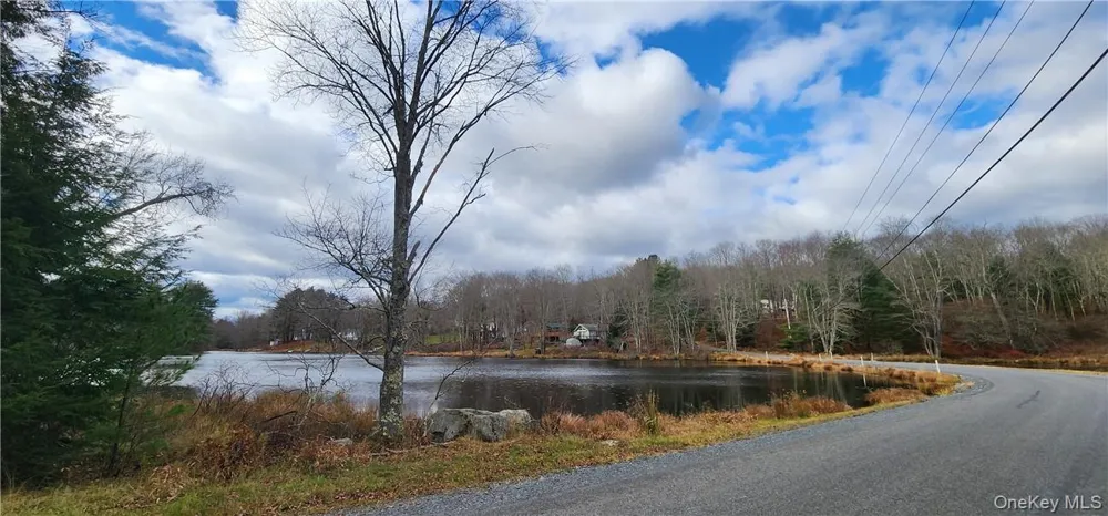Mongaup Road Monticello, NY 12701