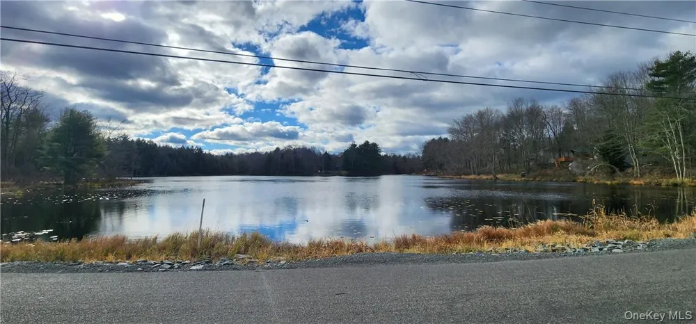 Mongaup Road Monticello, NY 12701