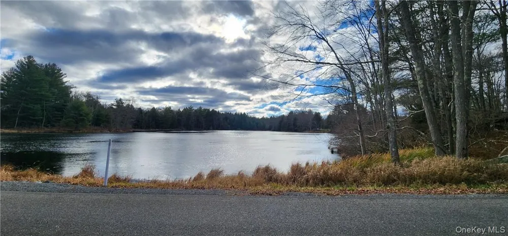 Mongaup Road Monticello, NY 12701