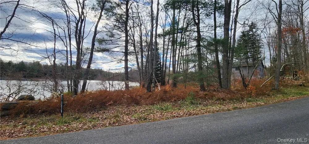 Mongaup Road Monticello, NY 12701