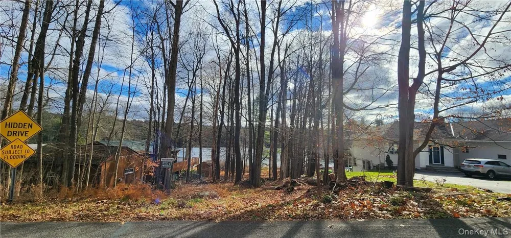 Mongaup Road Monticello, NY 12701