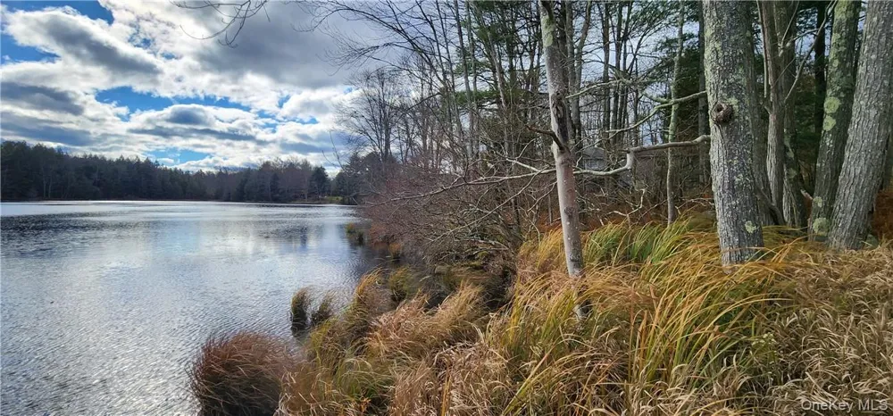 Mongaup Road Monticello, NY 12701