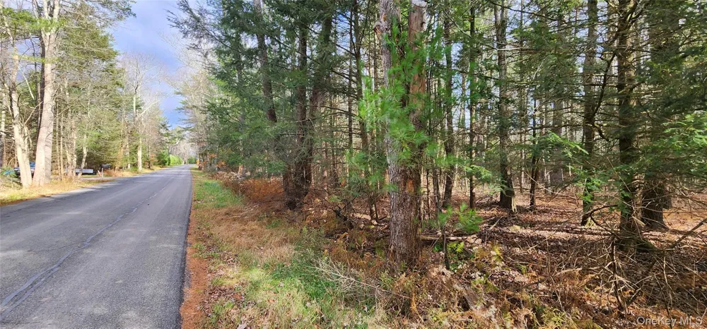 00 Mongaup Road Monticello, NY 12701