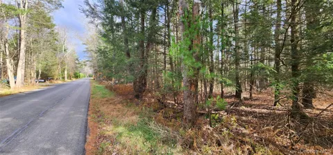 00 Mongaup Road