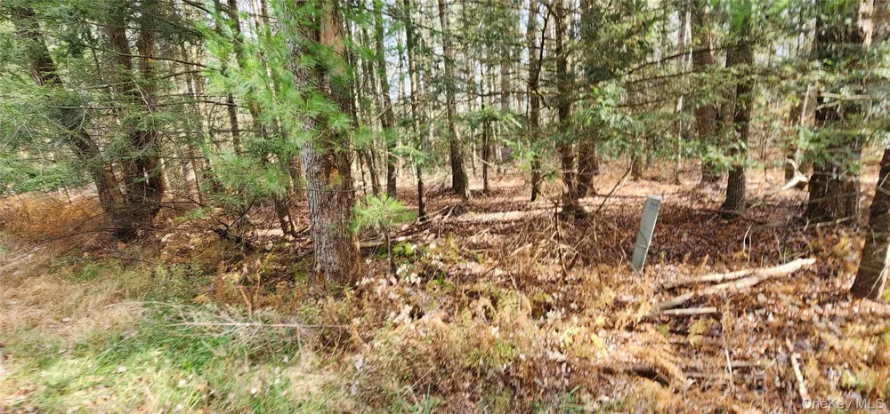 00 Mongaup Road Monticello, NY 12701