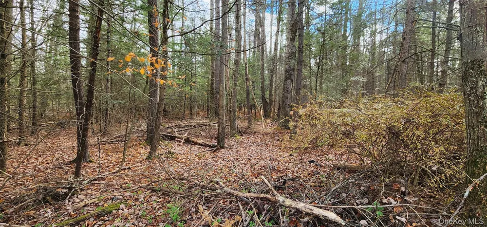 00 Mongaup Road Monticello, NY 12701