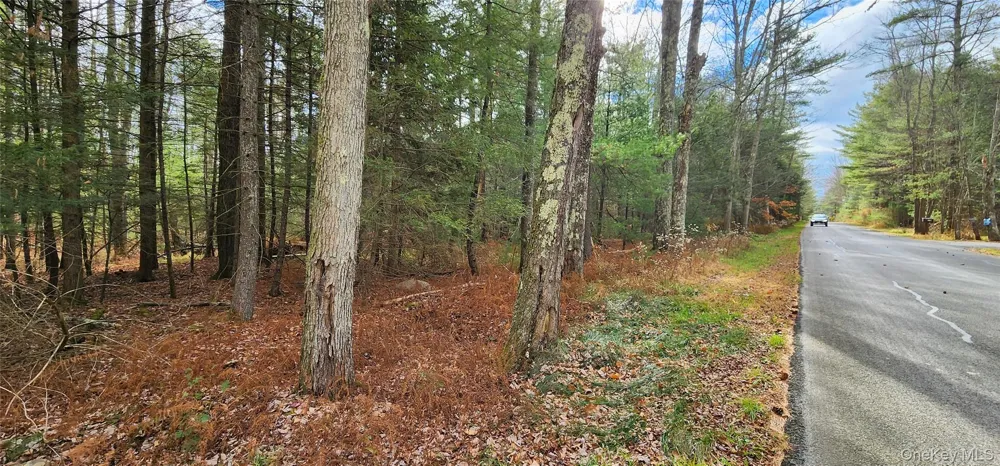 00 Mongaup Road Monticello, NY 12701