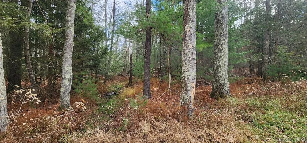 00 Mongaup Road Monticello, NY 12701