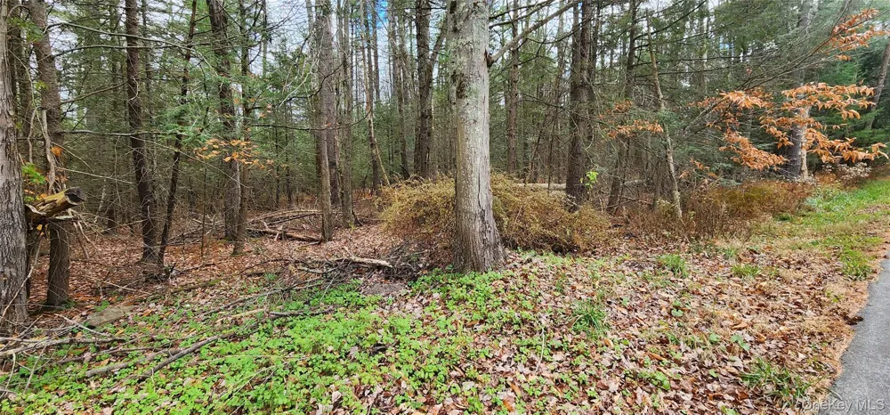 00 Mongaup Road Monticello, NY 12701