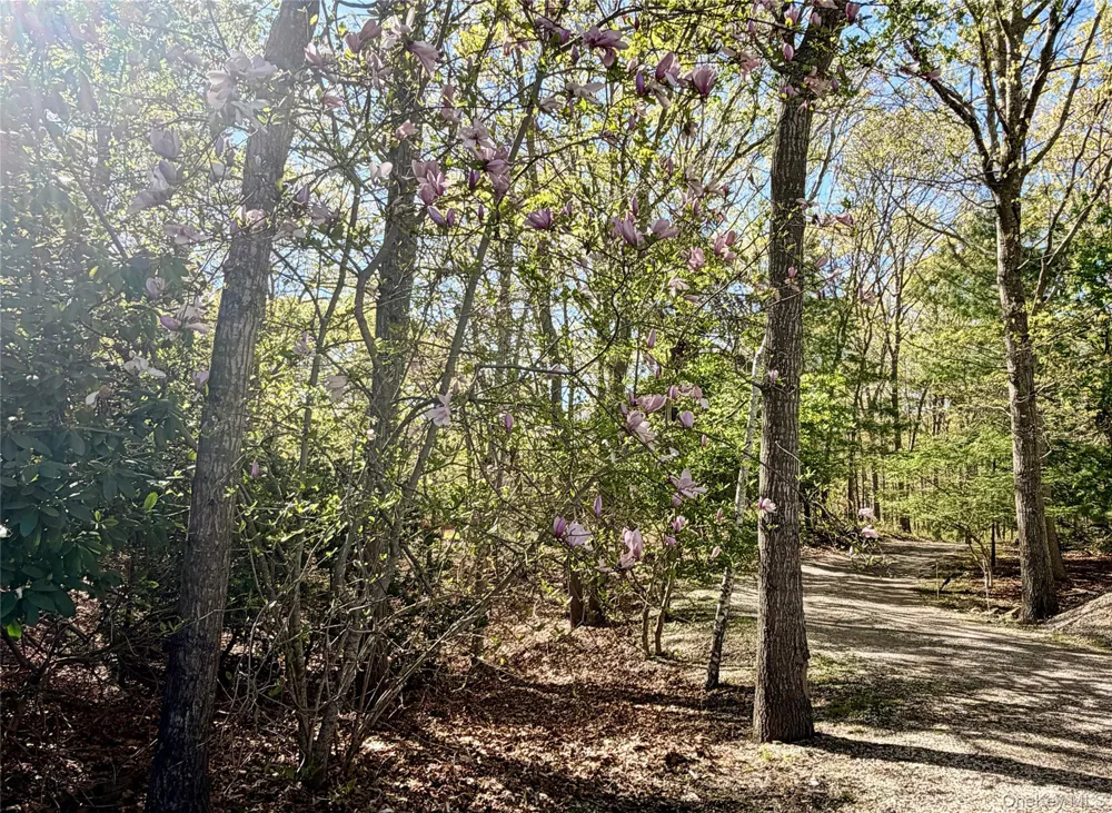 43B Old Squires Road Hampton Bays, NY 11946