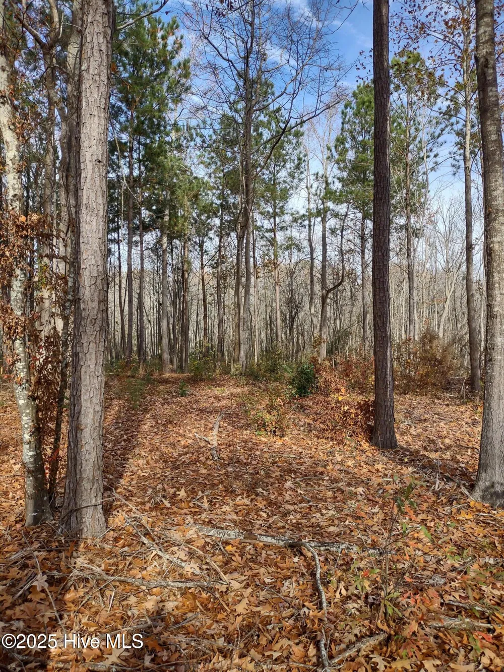 1671 Caratoke Highway Moyock, NC 27958