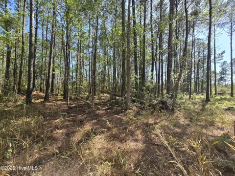 Lot B Renee Drive