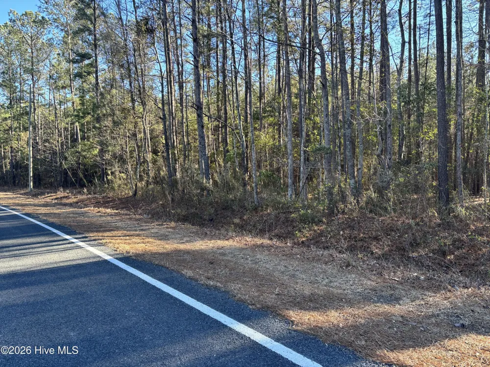 0 Biggs Road Rowland, NC 28383