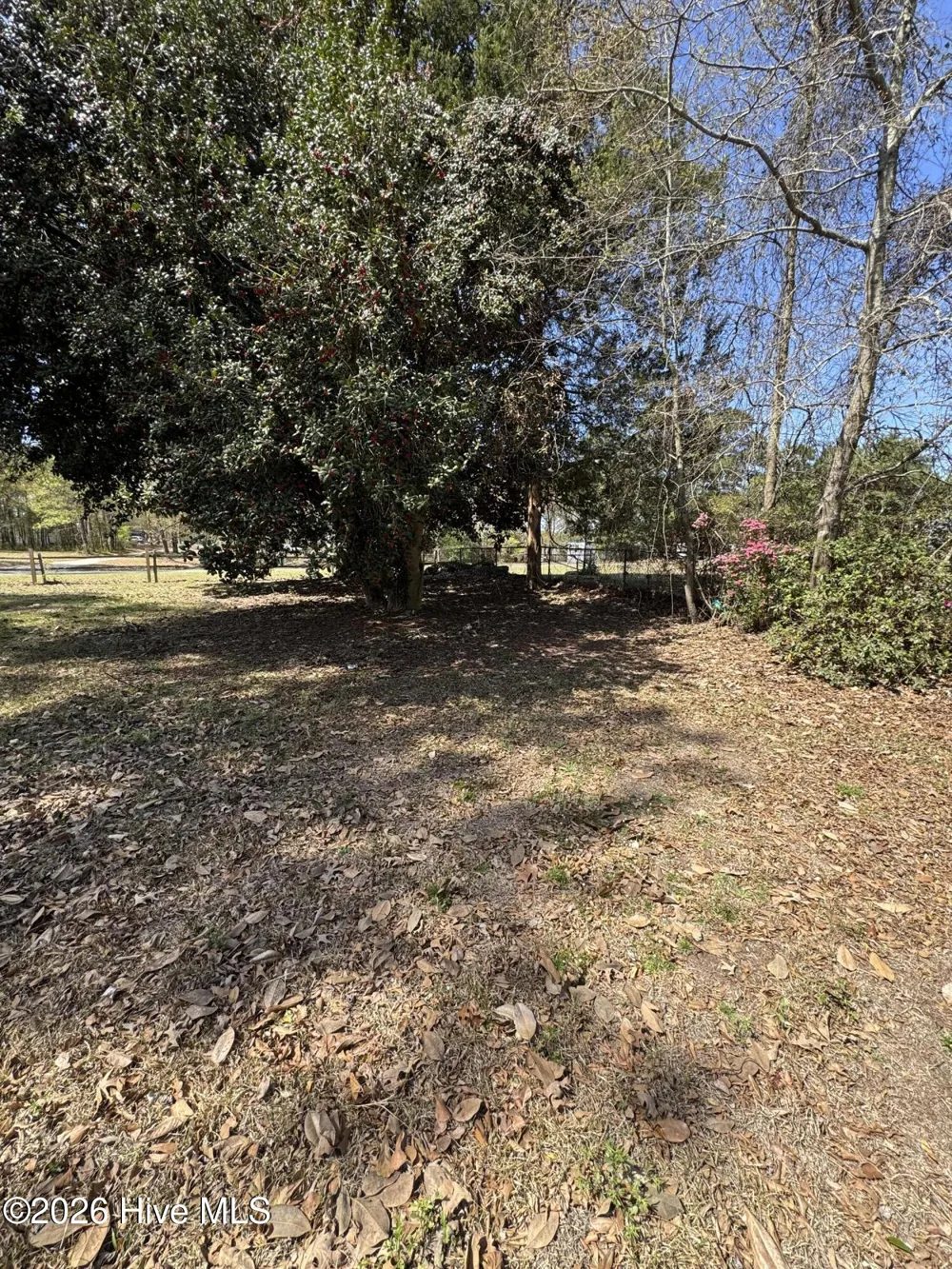 503 Casey Mill Road Dudley, NC 28333
