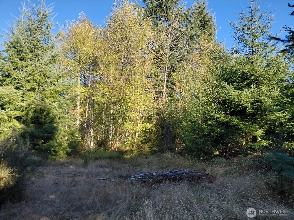 0 Lot 7 Buck Drive Randle, WA 98377