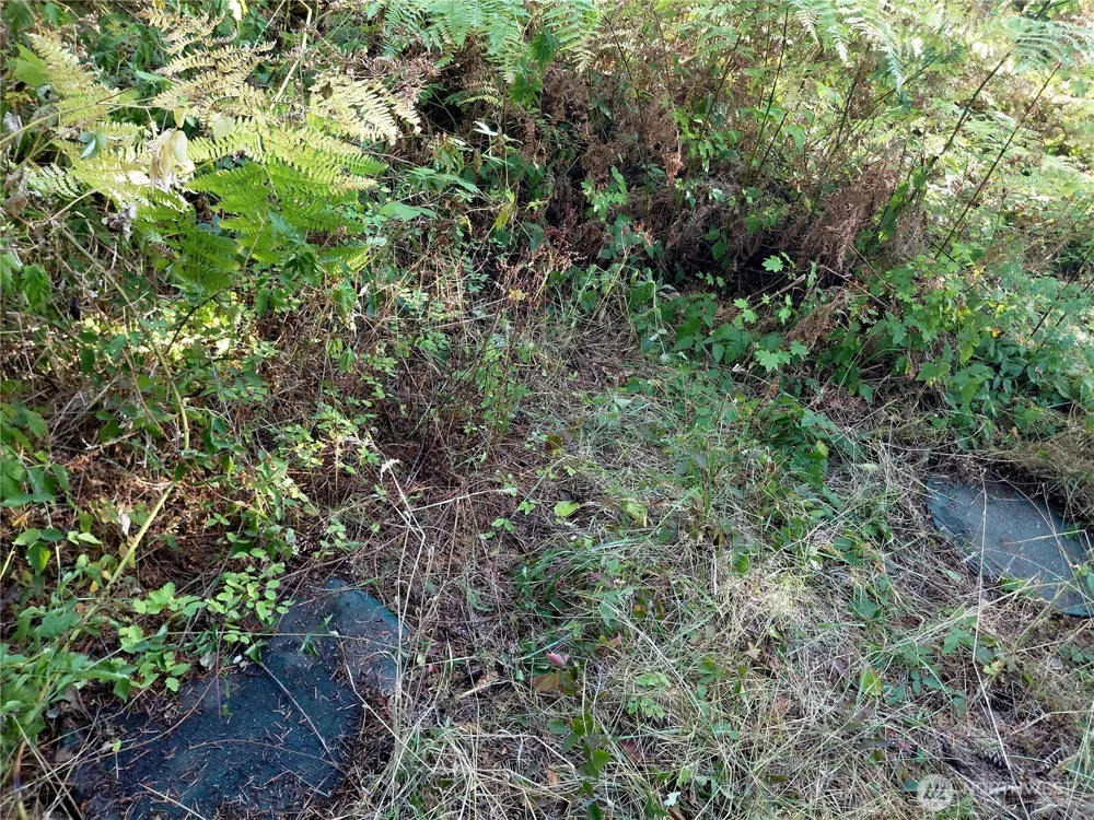 0 Lot 7 Buck Drive Randle, WA 98377