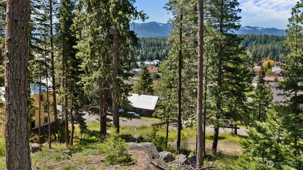 311 C STREET Roslyn, WA 98941