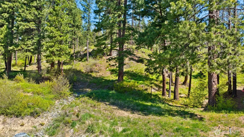 311 C STREET Roslyn, WA 98941