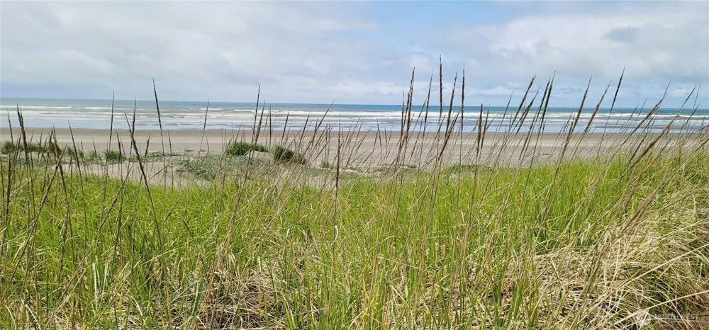 30309 G STREET Ocean Park, WA 98640