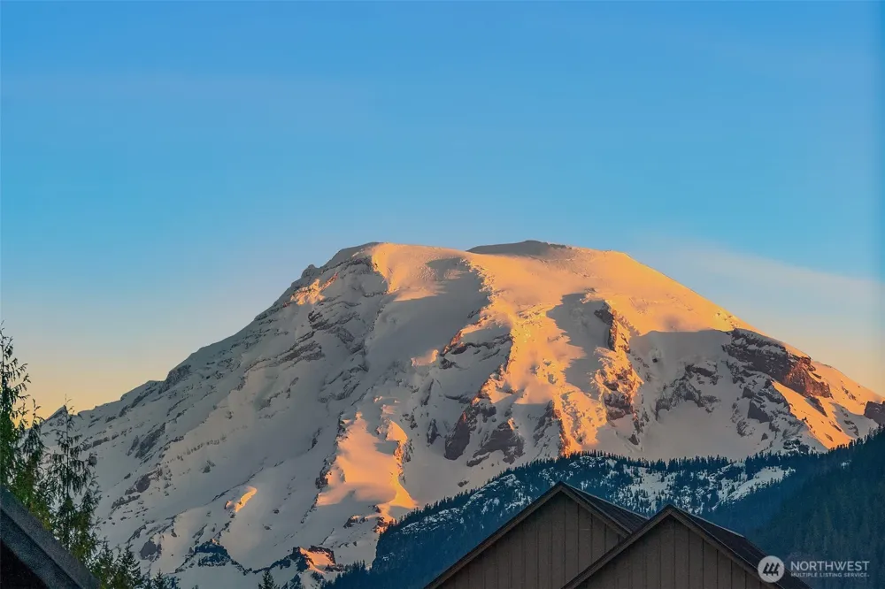 118 Burl Lane Packwood, WA 98361