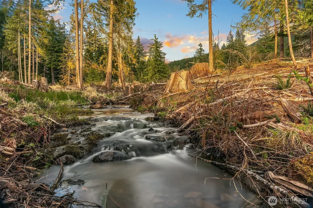 118 Burl Lane Packwood, WA 98361