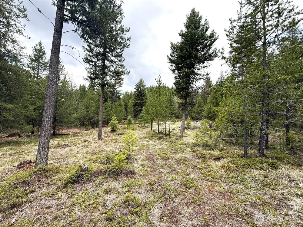7 Hazel Lane Republic, WA 99166