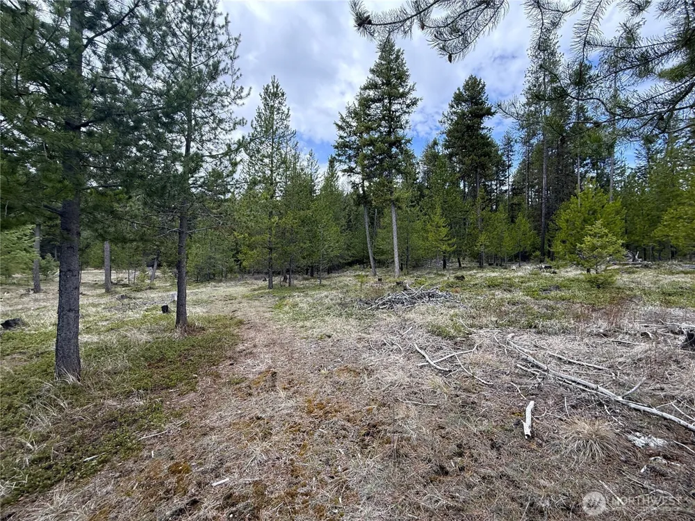 7 Hazel Lane Republic, WA 99166