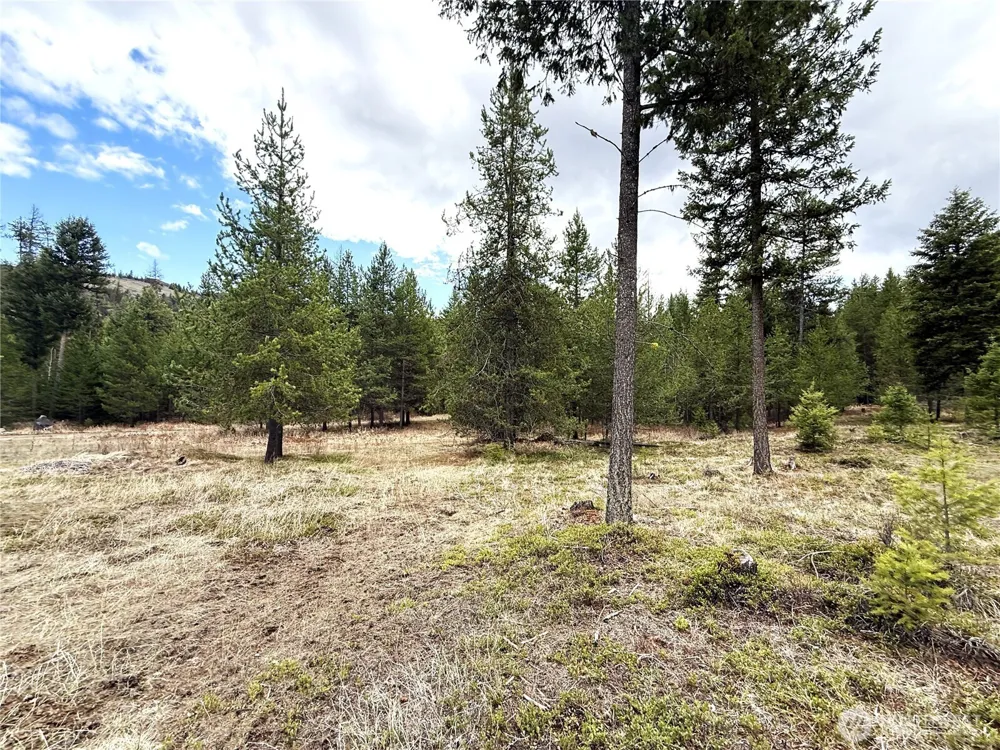7 Hazel Lane Republic, WA 99166