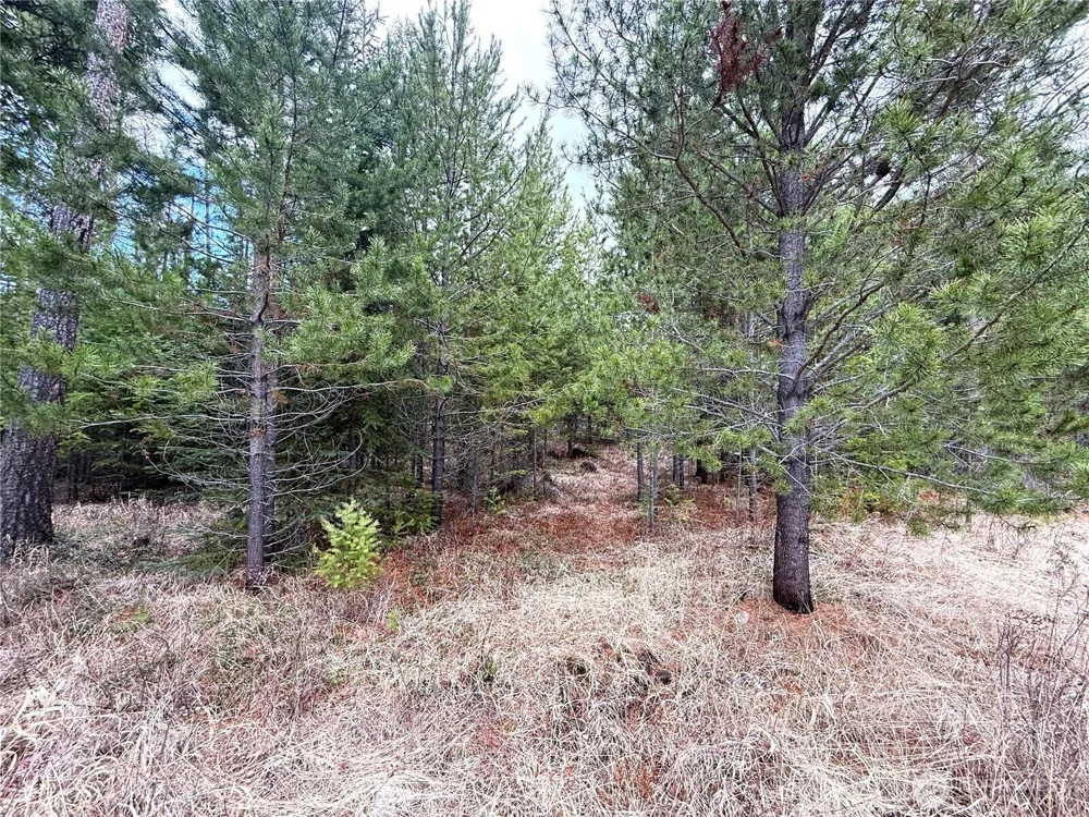 7 Hazel Lane Republic, WA 99166