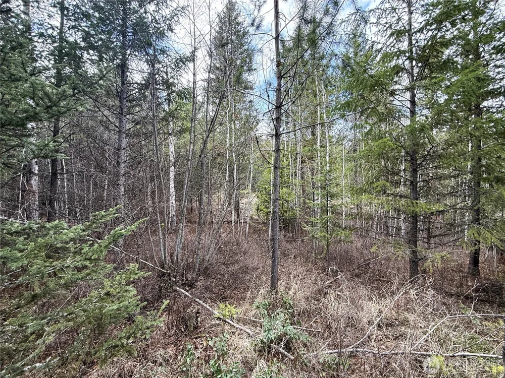 7 Hazel Lane Republic, WA 99166