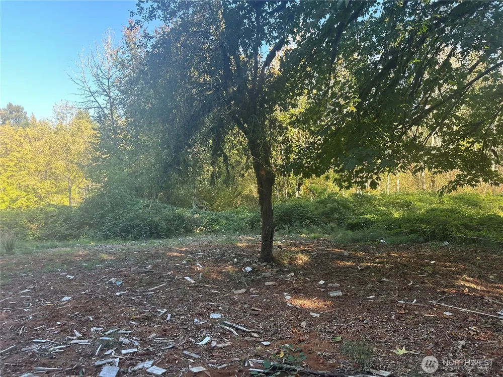45450 State Route 20 Concrete, WA 98237