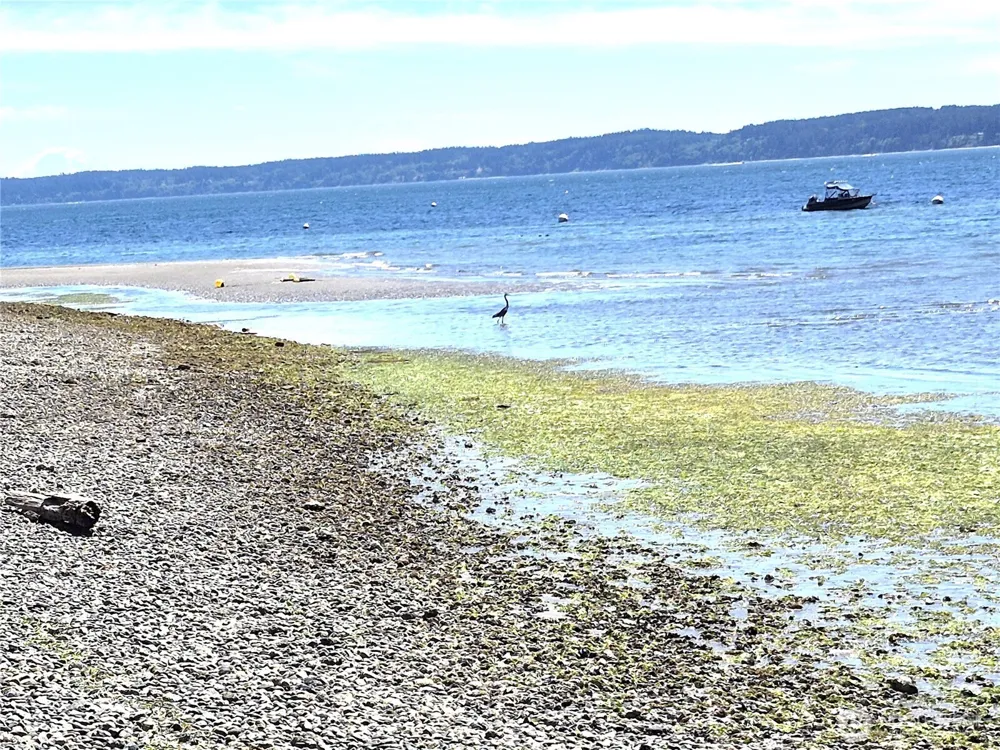 0 Wagner Road Camano Island, WA 98282