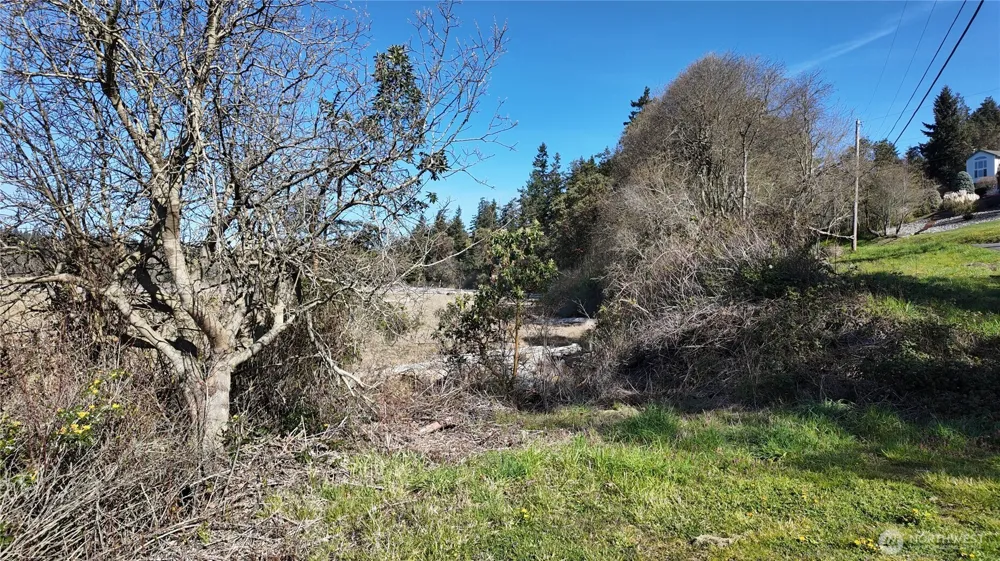 0 Wagner Road Camano Island, WA 98282